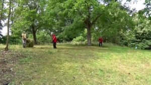 sređivanje Šumarica